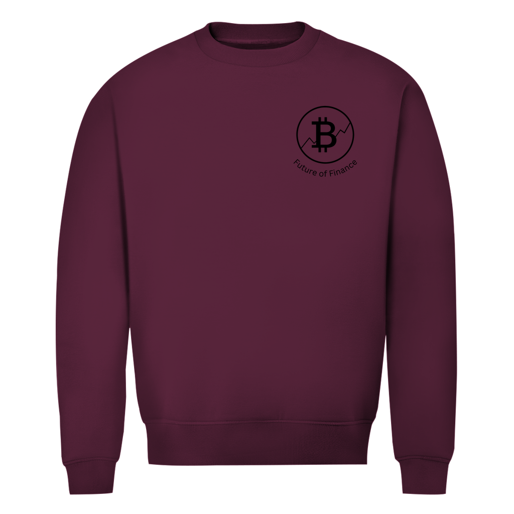 Herren Premium Bio Sweatshirt Future of Finance